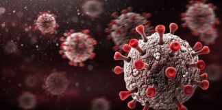 Shock analysis from 81 countries shows: Corona disease costs 16 years of life. Corona virus
