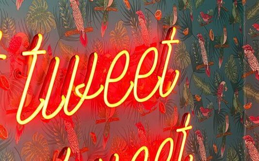 Twitter goes (not) Musk – What does that mean for marketing managers? twitter
