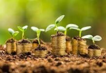 How to raise seed capital for your startup? seed capital
